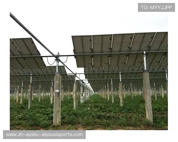 齐鲁大地户外健身器械配置趋势与社区实践案例